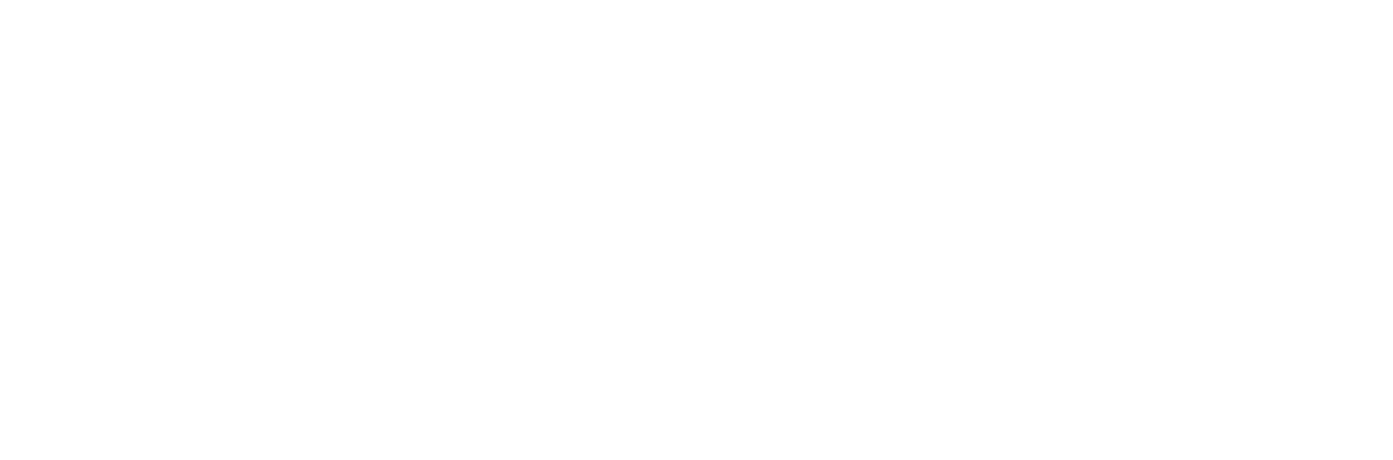 SANYOU